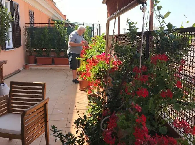 Guest house La Terrazza Di Evelina Rome